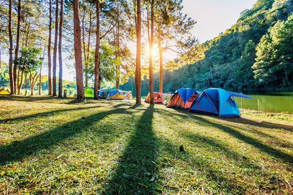 Pourquoi les petits campings en Corse sont plus à même de mettre en valeur la nature qui les entoure ?