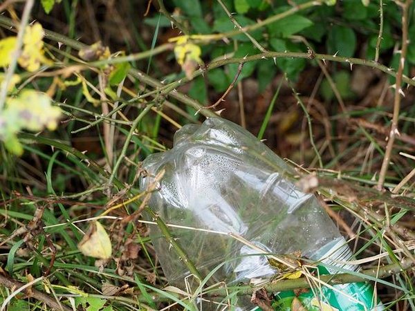 Les aliments de camping sans déchets : comment minimiser les déchets alimentaire