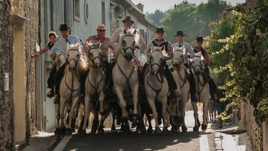 Votre guide ultime pour un séjour en camping en famille en Camargue : Activités, Conseils et Destinations incontournables