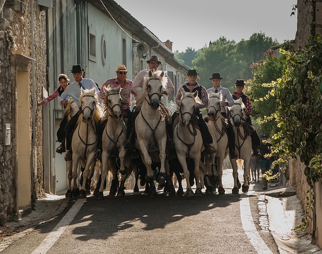 Votre guide ultime pour un séjour en camping en famille en Camargue : Activités, Conseils et Destinations incontournables